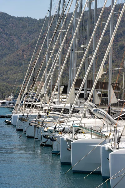 Catamaran sailboat and yachts in marina