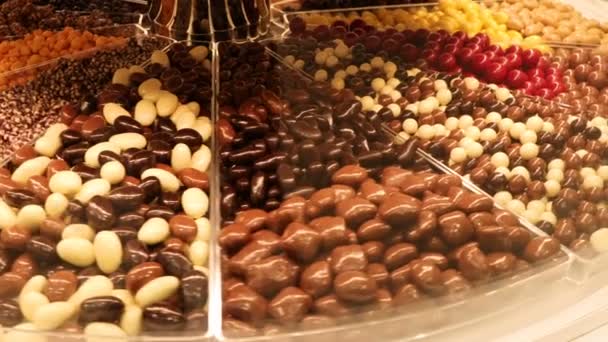 Colorful Chocolates Candies Various Shapes — Stock video