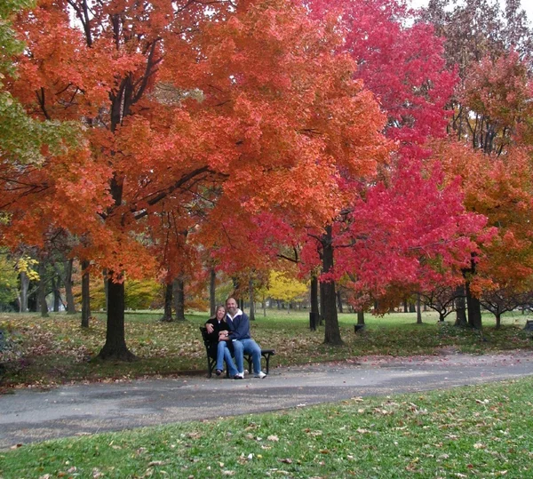 秋の色に囲まれて、公園のベンチに座っている愛情のあるカップル. — ストック写真