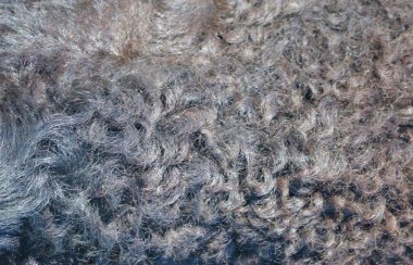 Buffalo saç arka plan.