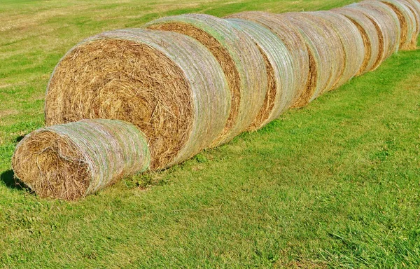 Large bales of hay. — Stock Photo, Image