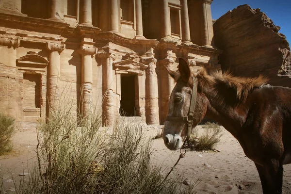 Fachada do Mosteiro em Petra, Jordânia — Fotografia de Stock