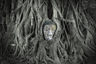 Buda Tayland Başkanı