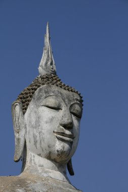 Buda Tayland Başkanı