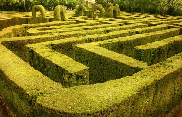 Green labyrinth in Barcelona, Spain — Zdjęcie stockowe