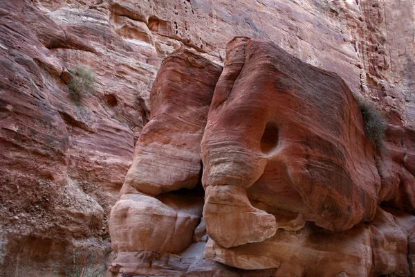 Elefante en forma de roca en la maravilla del mundo Petra, Jordania —  Fotos de Stock