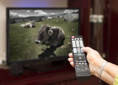 tv uzaktan kumanda televizyon doğru gösteren bir el.