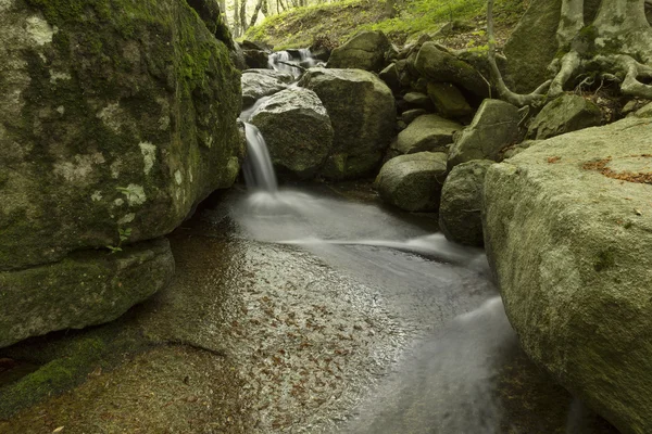 滝と緑の森で岩 — ストック写真