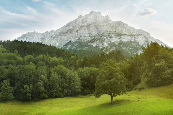 Panorama pejzaż górski. Szwajcaria — Zdjęcie stockowe