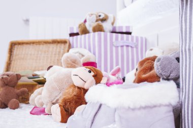 iç oda içi doldurulmuş hayvan oyuncaklar