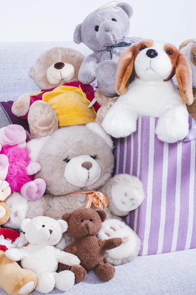 Stuffed animal toys in interior room — Stock Photo, Image