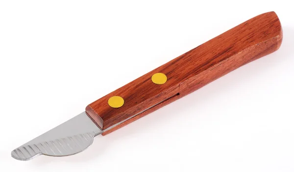 Cuchillo pelador de castañas — Foto de Stock