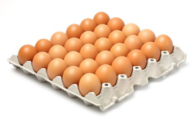 yumurta kağıt tepsisi