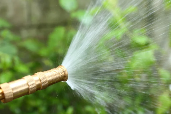 Watering — Stock Photo, Image