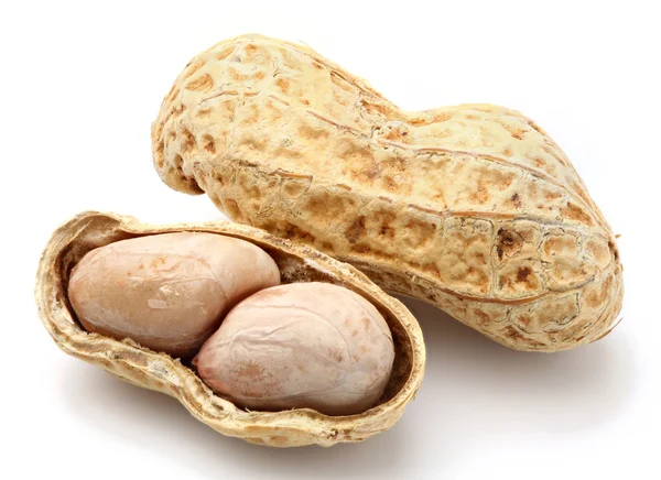 Peanut — Stock Photo, Image