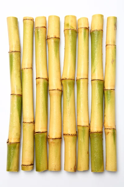 Raw sugar cane — Stock Photo, Image