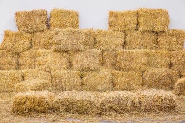 Rice straw bales clipart