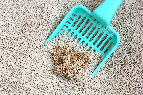 Cat Litter with cat sand scoop — Stock Photo, Image