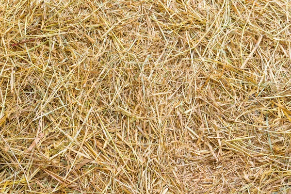 Rice straw background — 图库照片