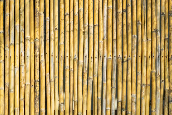 Cerca de bambu — Fotografia de Stock