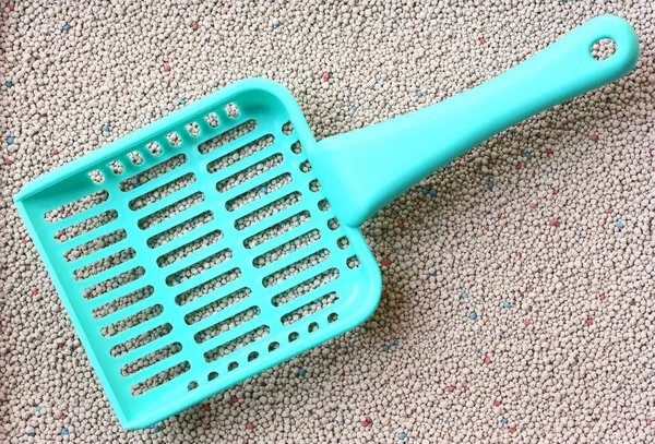 Cat Litter with cat sand scoop — Stock Photo, Image