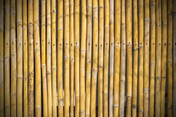 Bamboo fence — Stock Photo, Image