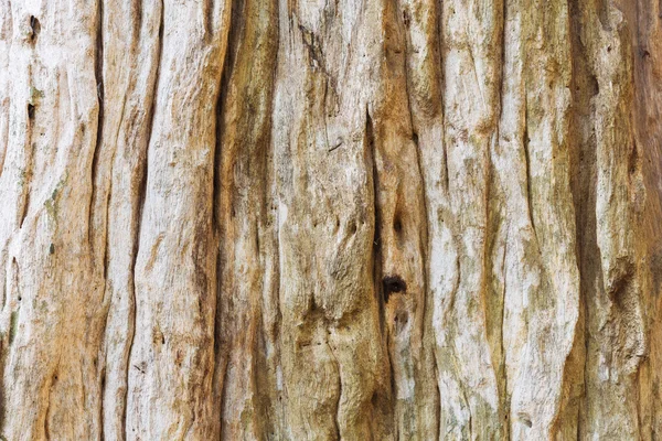 Legno vecchio e stagionato — Foto Stock