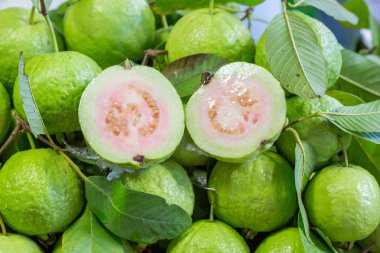 Tay guava