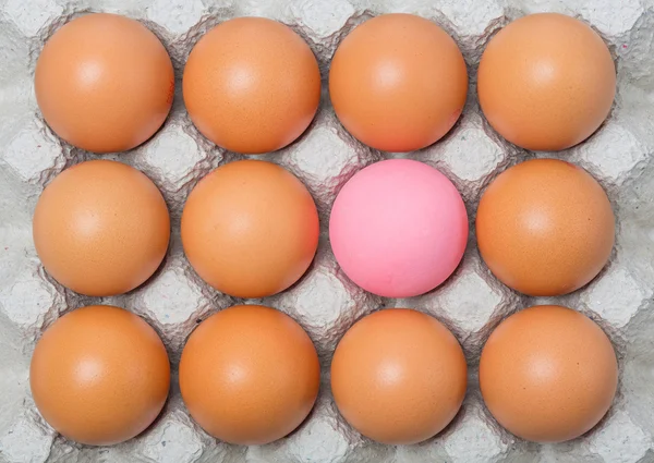 Ovo de século entre ovos de galinha — Fotografia de Stock