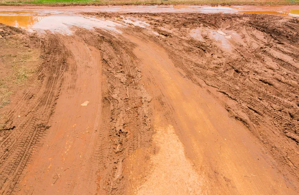 Bataklık yolu — Stok fotoğraf