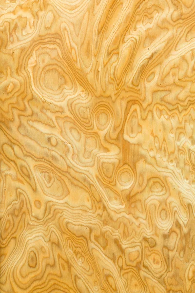 Textur der Echtholzmaserung — Stockfoto