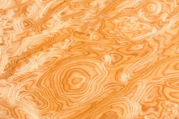 Skutečné dřevo zrno texturu — Stock fotografie