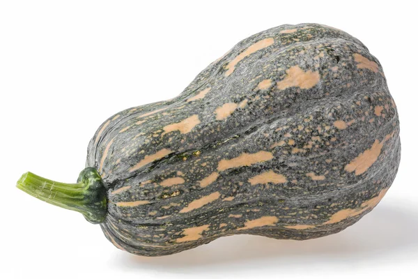 Calabaza calabaza — Foto de Stock