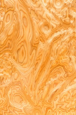 gerçek ahşap tahıl doku