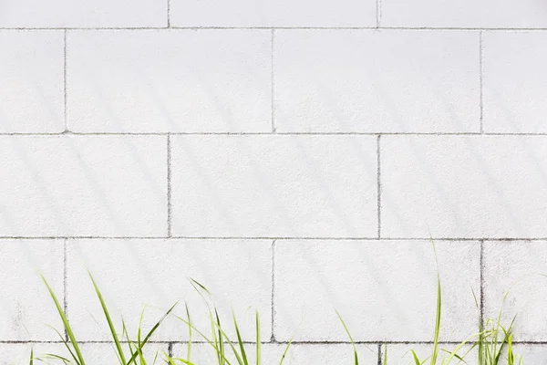 Vit betongvägg med gräs — Stockfoto
