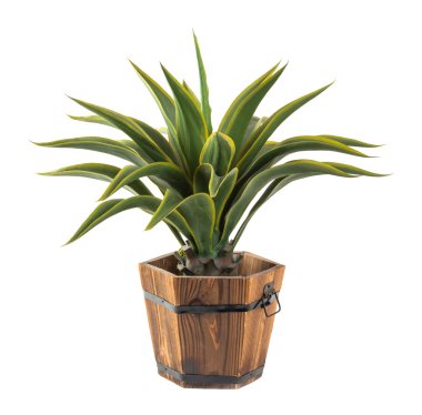 Agave ahşap Kepçe - yapay bitki