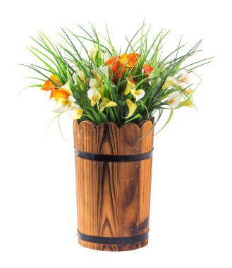 calla lily ve çim oluşan