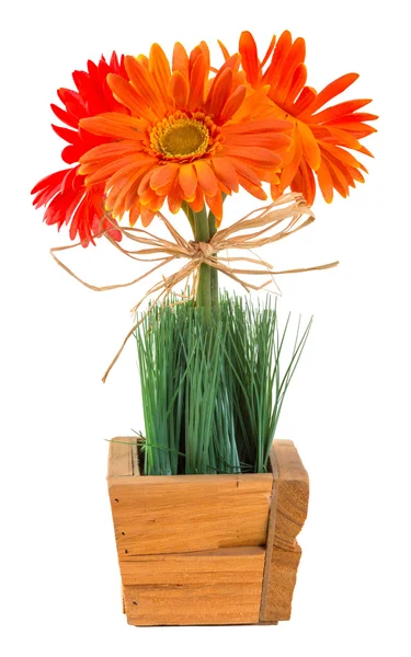 Bouquet of gerbera daisy — Stock Photo, Image