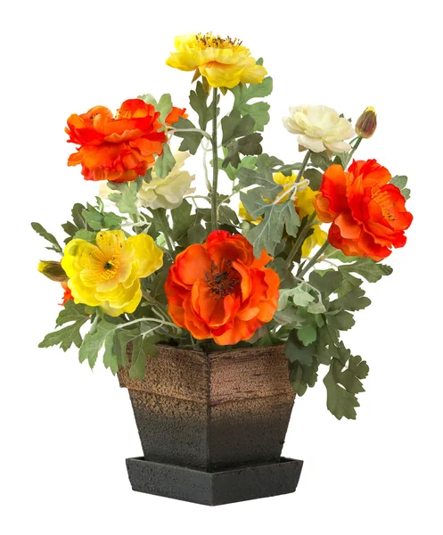 Rose flower in wood bucket — Stock Photo, Image