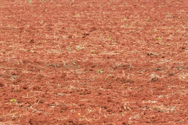 Preparação do solo para plantação — Fotografia de Stock