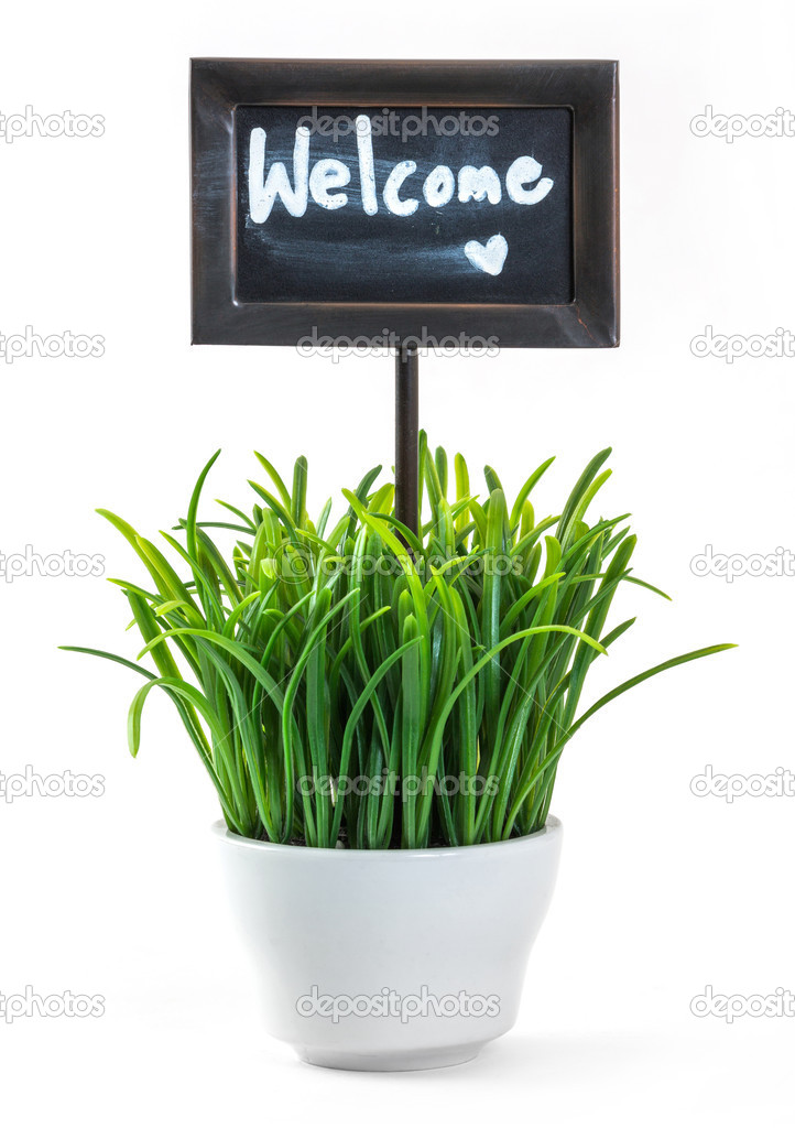 Welcome sign and grass in ceramic pot