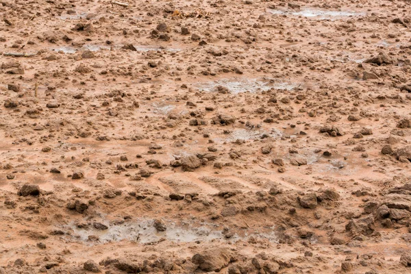 Preparazione del suolo per la semina — Foto Stock