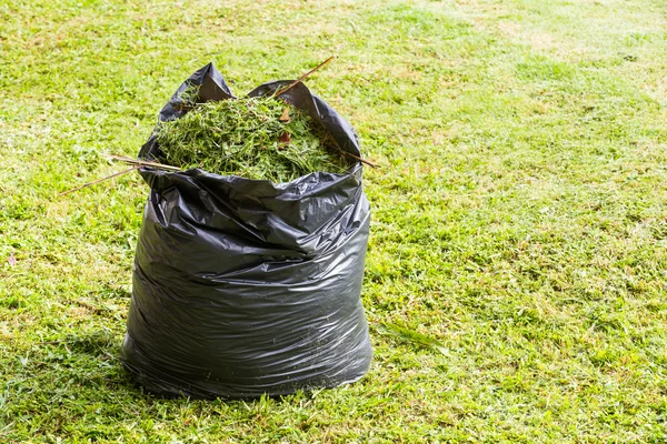 Gras im Müllsack — Stockfoto