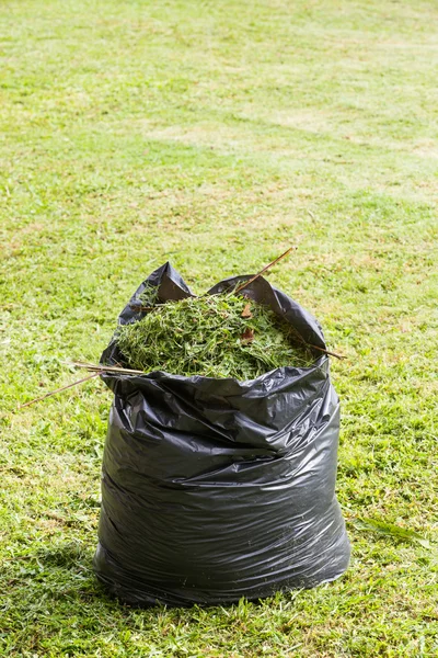 Grass in garbage bag — Stock Photo, Image