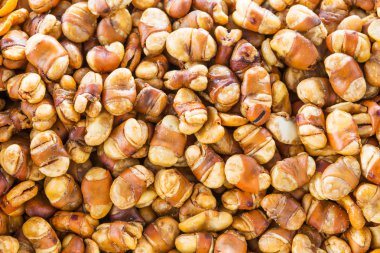 tuzlu gevrek geniş fasulye