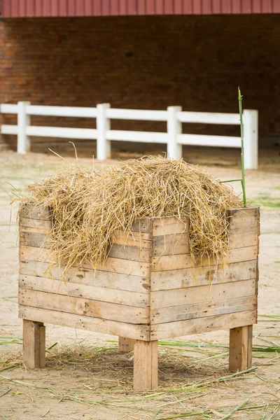 Dry straw for sheep — Stock Photo, Image