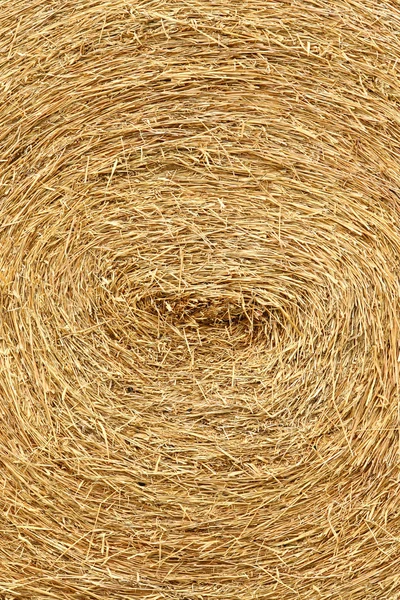 Dry straw roll — Stock Photo, Image