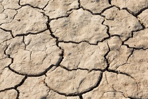 Textura del suelo agrietada —  Fotos de Stock