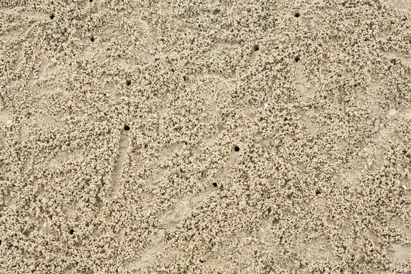 Ghost crab holes on the beach — 图库照片