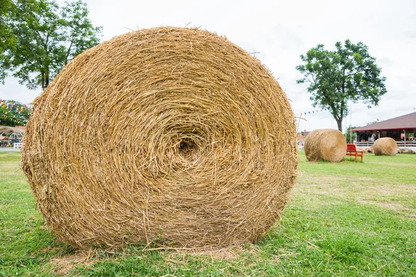 Dry straw roll — Stock Photo, Image